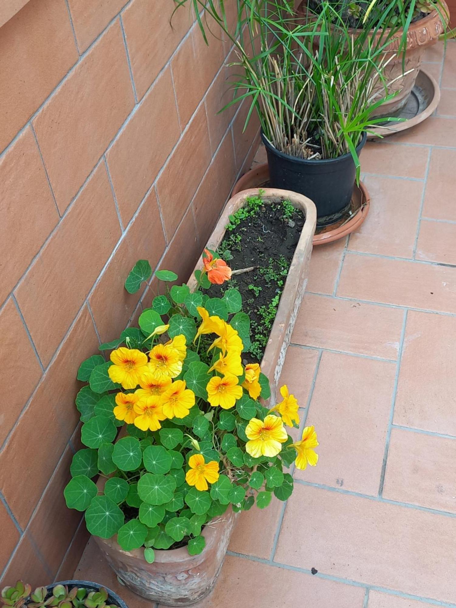Vient E Mare Appartement Torre Annunziata Buitenkant foto
