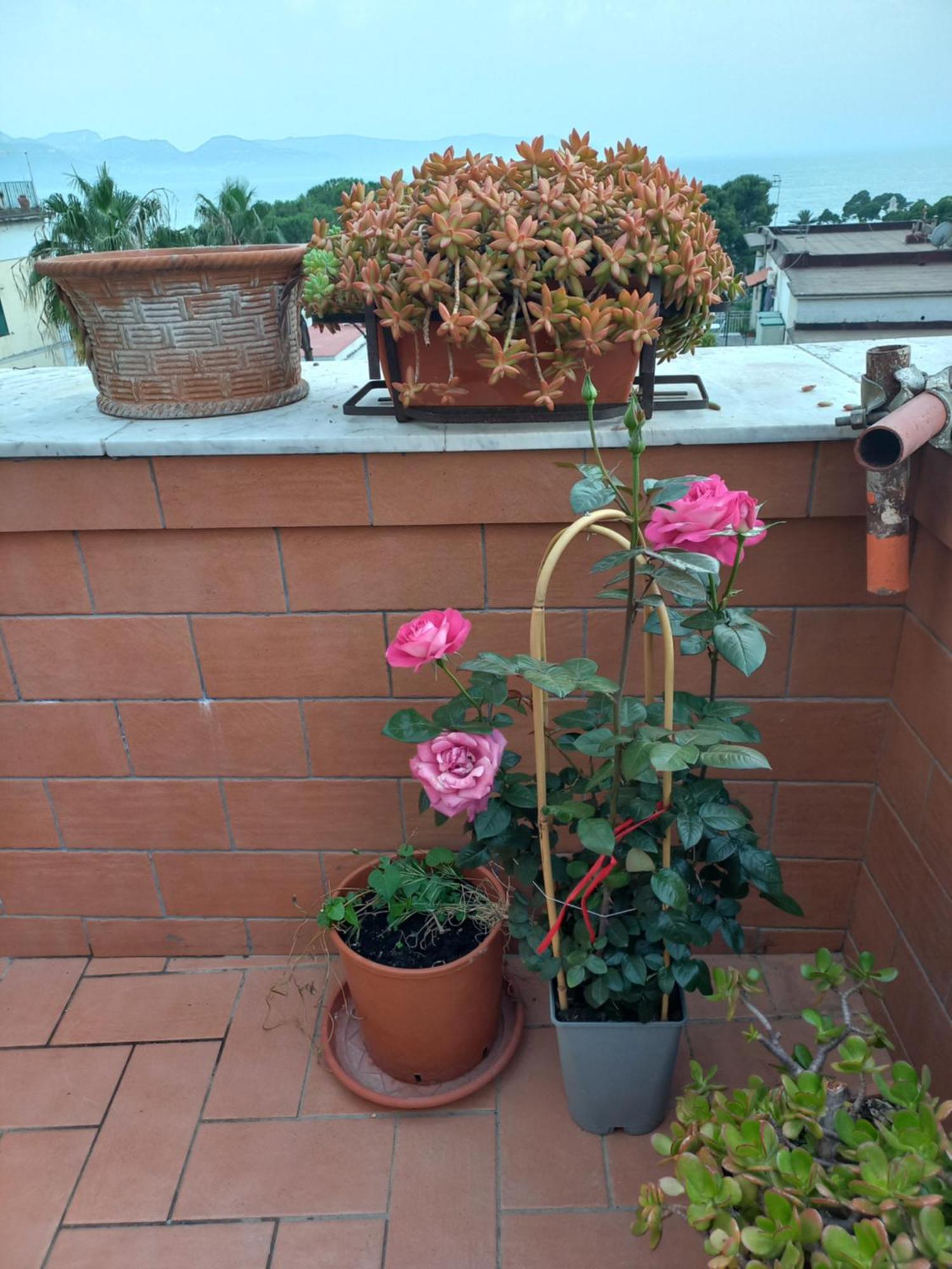 Vient E Mare Appartement Torre Annunziata Buitenkant foto